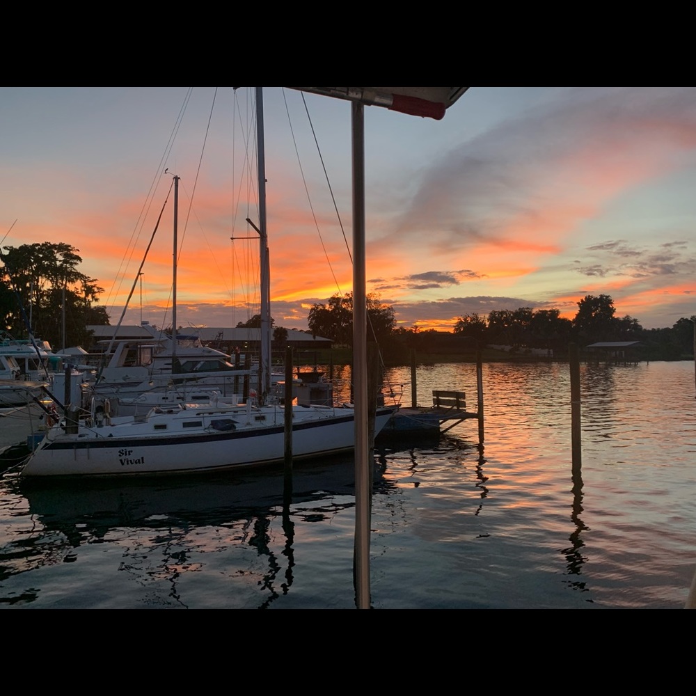 Meet your Posher, Donald